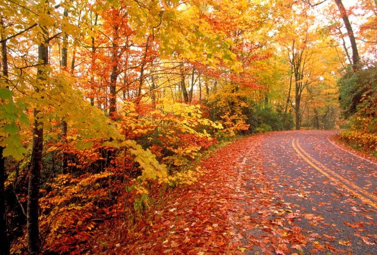 Autumn has arrived in the UK – but the season is not like it used